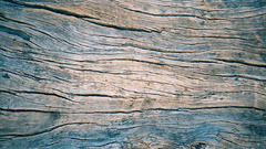 Blue pattern texture Wood natural