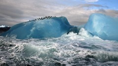 Blue Penguins glacier