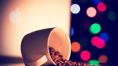 Blue pink white Green orange lights coffee corn Coffee Beans 