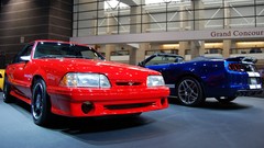 Blue red cars Ford vehicles Ford mustang ford mustang shelby 