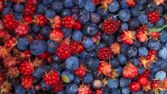 Blue red fruits food