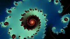 Blue seashell abstract black