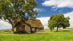 Blue skies clouds Trees