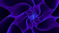 Blue star Wild purple