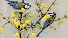 Blue tit paintings Birds
