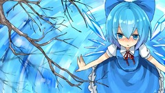 Blue touhou cirno Fairies
