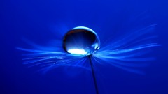 Blue water drops macro