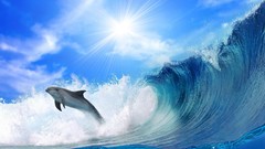 Blue waves Dolphins Sea