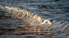 Blue waves gold golden