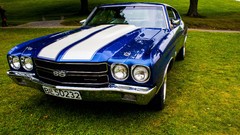 Blue white cars Norway carshow