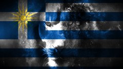 Blue white Greece Flags Greek Lions macedonia coulor