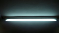 Blue white indoors neon