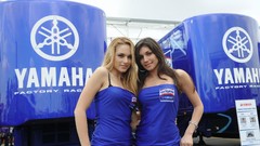 Blue woman Yamaha blondes brunettes models