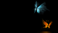 Blue yellow gold Butterflies