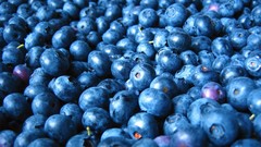 Blueberries fruits