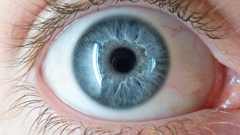 Blueye itt eyes human
