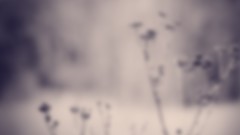 Blurred deviantart minimalistic digital art