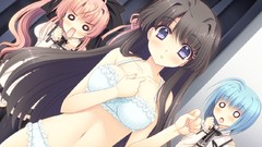 Blush anime girls bra game cg underwear panties