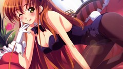 Blush anime girls code geass bunny suit Fenette Shirley