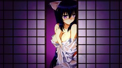 Blush anime girls nekomimi purple eyes cleavage Omamori Himari 