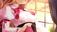 Blush anime girls parasol green eyes brunettes panties window 