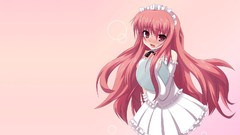 Blush anime girls waitress zero no tsukaima Louise Françoise Le 