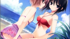 Blush brunettes boku wa tomodachi ga sukunai black hair bikini 