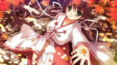 Blush Japanese clothes