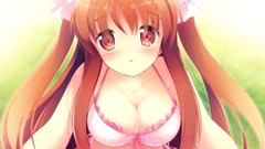 Blush long hair anime girls brunettes