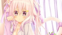 Blush pink hair long hair pink eyes anime girls nekomimi animal 