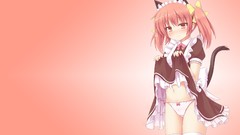 Blush pink hair pink eyes anime girls nekomimi animal ears 