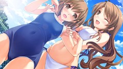 Blush swimsuits wink soft