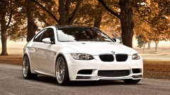 BMW Trees streets cars