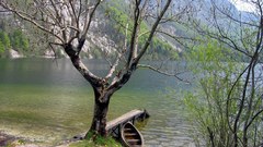 Boat nature hills Trees