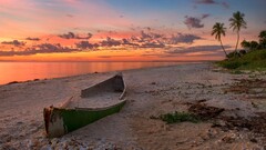 boat sky clouds palm trees horizon vehicle sunlight outdoors