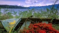 Boats abandoned Washington canal vehicles