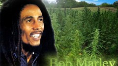Bob marley amidoinitrite Music