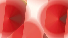 Body Dimensions high