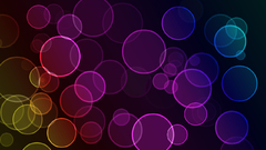 Bokeh by The dogfather