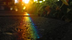Bokeh sunlight rainbows ground