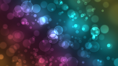 Bokeh supernova danatlive