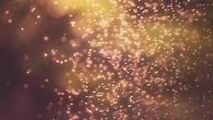 Bokeh toys (children)