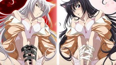 Bondage bakemonogatari hanekawa tsubasa animal ears 