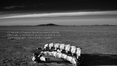 Bones Quotes deserts