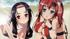Boobs beach hyakka ryouran