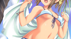 Boobs bikini panties bra