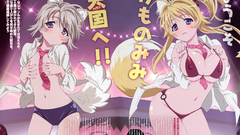 Boobs panties kanokon animal