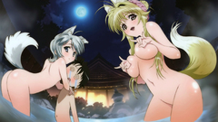 Boobs tails ass kanokon