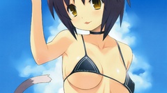 Boobs tails bikini bra