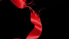 Bookcovers eclipse This is